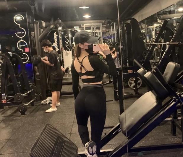 香港2023正版免费资料app下载