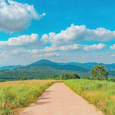 半岛官网最新下载截图