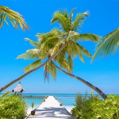 ayx爱游戏全站app下载截图