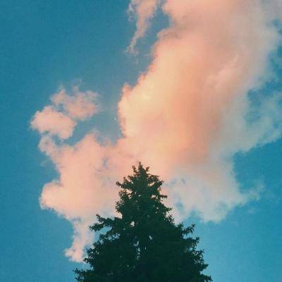 单机的打鱼游戏app下载