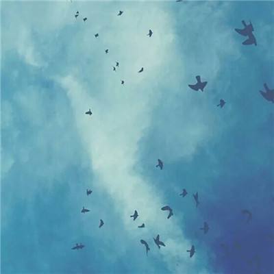 365平台官方版下载下载手机版