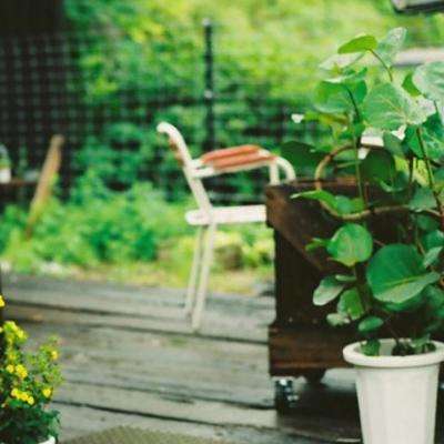 365体育官方唯一入口手机app下载