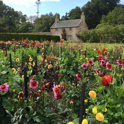 乐鱼体育平台下载地址