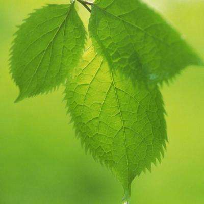 pg娱乐电子游戏官网手机app下载