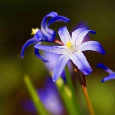 NG体育手机app下载截图