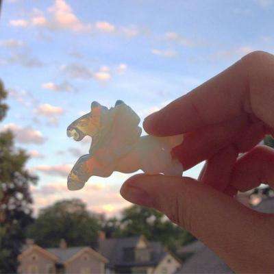 金沙集团9500截图