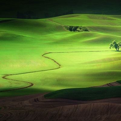 NG体育手机app下载