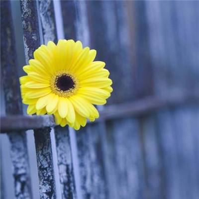 云开全站登录appkaiyun