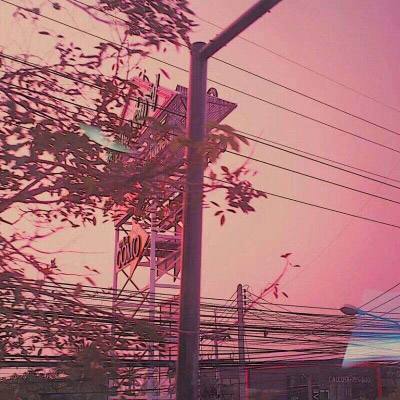 NG体育手机app下载截图