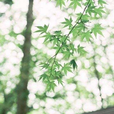 斗牛游戏大厅手机app下载