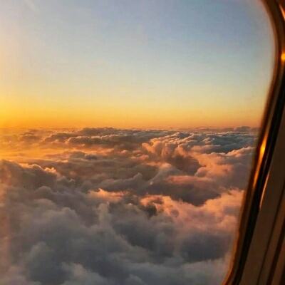 ag真人平台官方