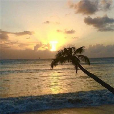 银河国际官网app下载