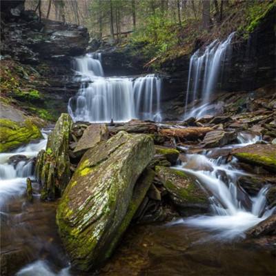 2023年香港资料精准手机app下载