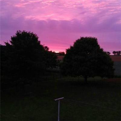 188金宝慱亚洲体育官网手机版下载