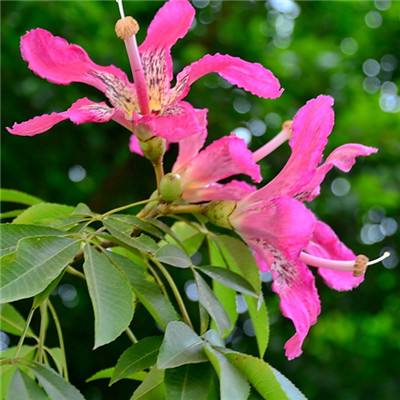 pg娱乐电子游戏