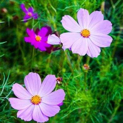 快盈lV购彩大厅下载手机版