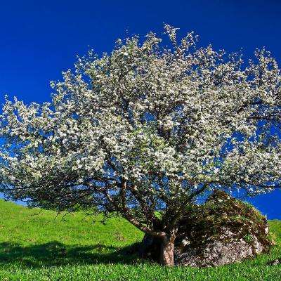 江南JNTY官网下载