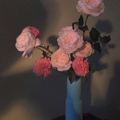 ky体育最新版下载地址截图