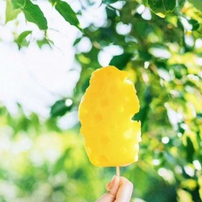 bob体体育app下载