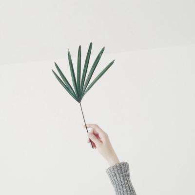 B体育手机版在线app下载