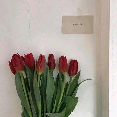 半岛登录入口-登录入口