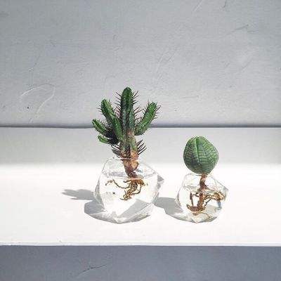 乐鱼app下载下载手机版