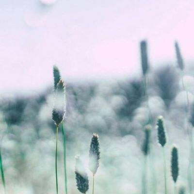 完美电竞下载手机版截图