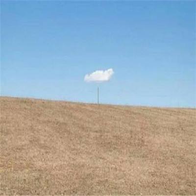 新世纪棋牌app下载