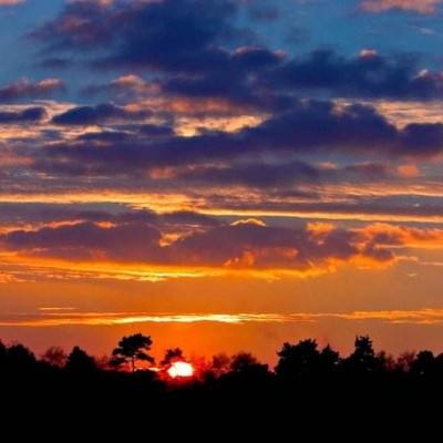 威尼斯wns·8885556