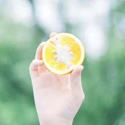 乐鱼平台app下载官网