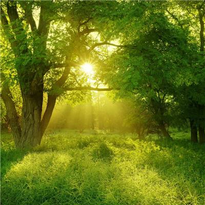 万博下载地址苹果版