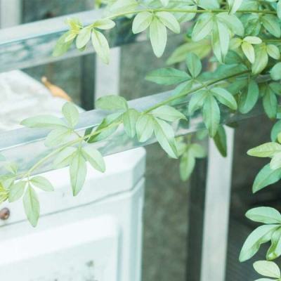 开开棋牌app下载