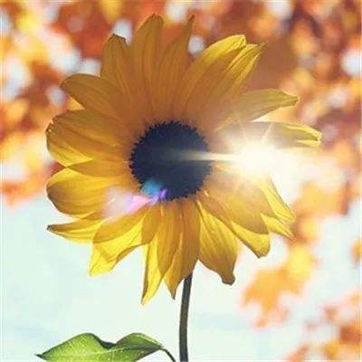 PG电子游戏官网入口截图