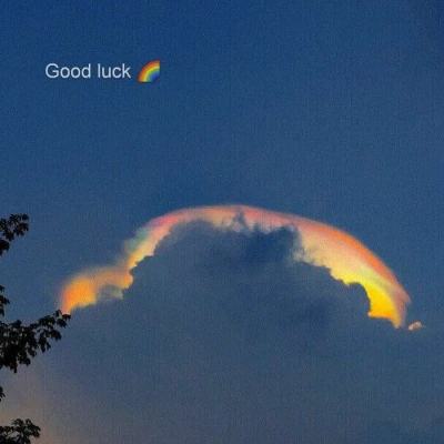 美高梅电子娱乐游戏app