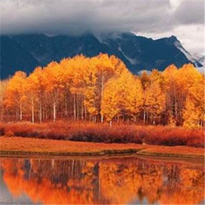 新188app官网下载