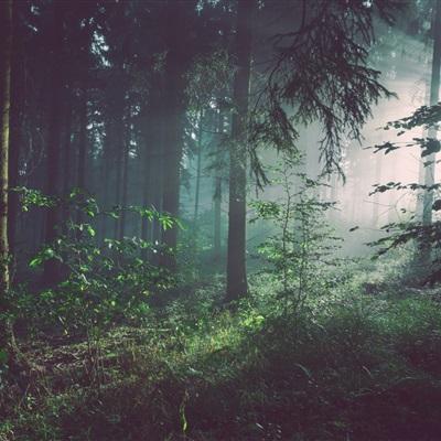 江南体育手机app下载