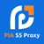 Luna Proxy
