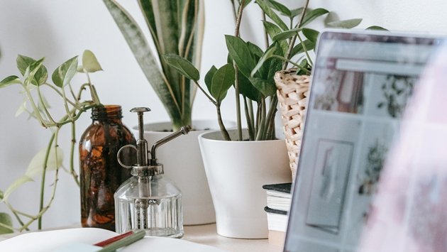 高效召开开曼公司董事会会议的实用指南