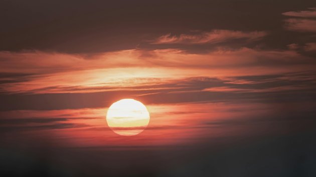 轻松查询香港公司税务注册证书的实用指南